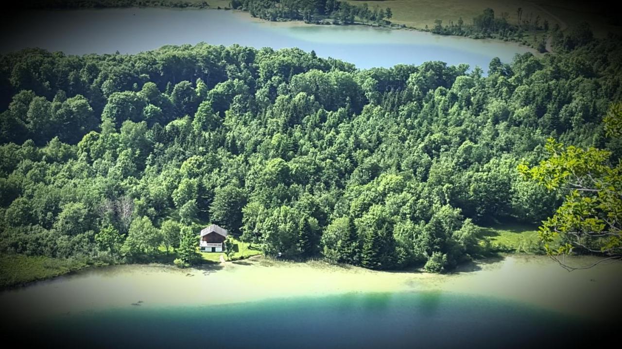 Gite Grande Capacite Au Calme Circuit Cascades Du Herisson Bonlieu Exteriér fotografie